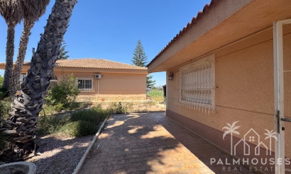 Revente - Finca - Dolores - Comunidad Valenciana