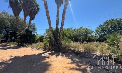 Revente - Finca - Dolores - Comunidad Valenciana