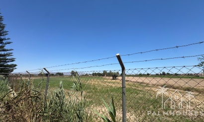 Revente - Finca - Dolores - Comunidad Valenciana