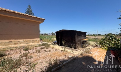 Revente - Finca - Dolores - Comunidad Valenciana
