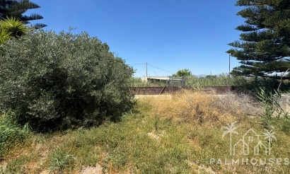 Revente - Finca - Dolores - Comunidad Valenciana