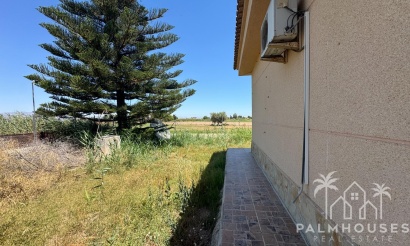 Revente - Finca - Dolores - Comunidad Valenciana