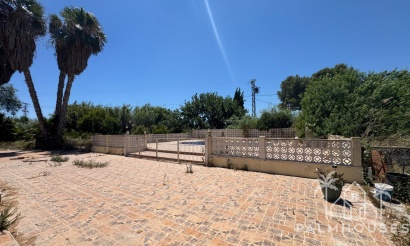 Revente - Finca - Dolores - Comunidad Valenciana