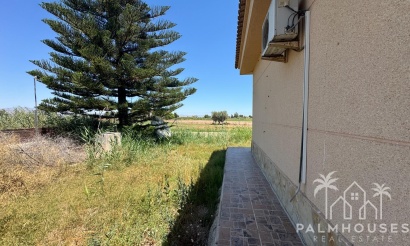 Revente - Finca - Dolores - Comunidad Valenciana
