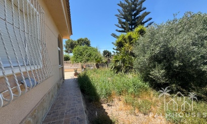 Revente - Finca - Dolores - Comunidad Valenciana