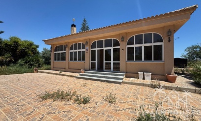Revente - Finca - Dolores - Comunidad Valenciana