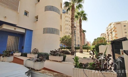 Revente - Apartment - Guardamar del Segura - Avenida Del Puerto
