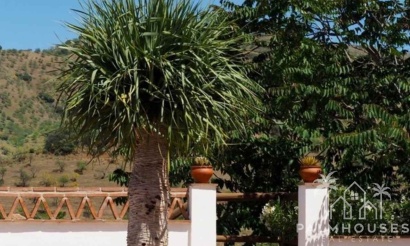 Venta - Finca - Alora - Malaga