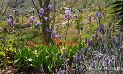 Venta - Finca - Alora - Malaga