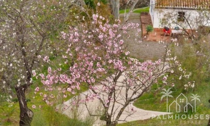 Venta - Finca - Alora - Malaga