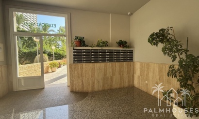 Revente - Apartment - Benidorm - Benidorm Centro