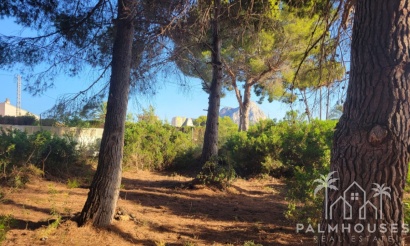Revente - Plot - Calpe - Calpe Centro