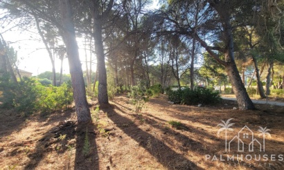 Revente - Plot - Calpe - Calpe Centro