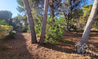 Revente - Plot - Calpe - Calpe Centro
