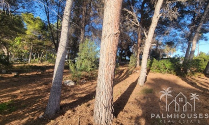 Revente - Plot - Calpe - Calpe Centro