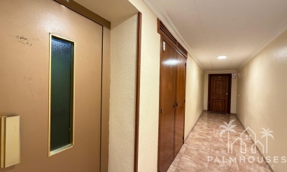 Herverkoop - Appartement - Torrevieja - Paseo maritimo