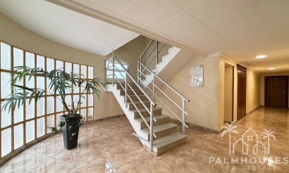 Herverkoop - Appartement - Torrevieja - Paseo maritimo