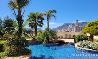 Revente - Apartment - Calpe - Calpe Centro