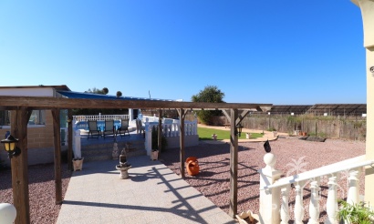 Venta - Finca - Callosa de Segura - Callosa de Segura - Country