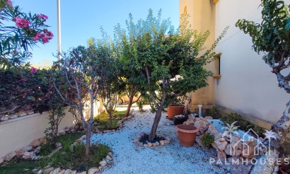 Herverkoop - Appartement - Orihuela Costa - Costa Blanca