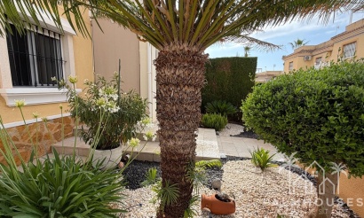 Venta - Apartment - Orihuela Costa - Los Dolses