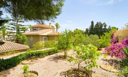 Revente - Villa - Orihuela - Villamartin