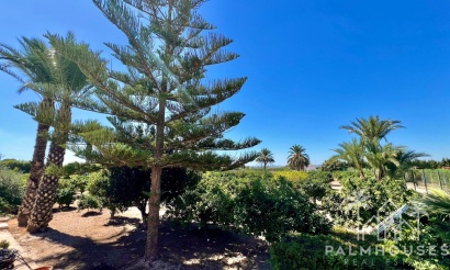 Herverkoop - Villa - Almoradi - Comunidad Valenciana