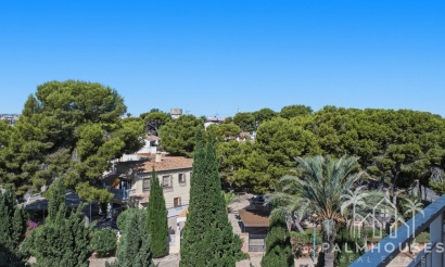 Venta - Apartment - Orihuela - Punta Prima