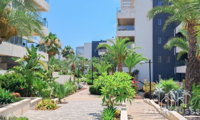 Revente - Apartment - Orihuela - Los Dolses
