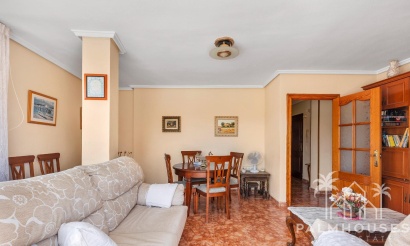 Revente - Apartment - Torrevieja - Playa del cura