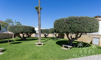 Herverkoop - Appartement - Torrevieja - Costa Blanca
