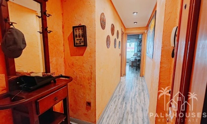 Herverkoop - Appartement - Torrevieja - Acequion