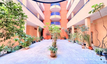 Herverkoop - Appartement - Torrevieja - Acequion