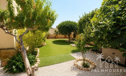 Revente - Apartment - Orihuela - Orihuela Costa