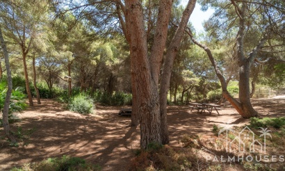 Herverkoop - Appartement - Orihuela Costa - Altos de Campoamor