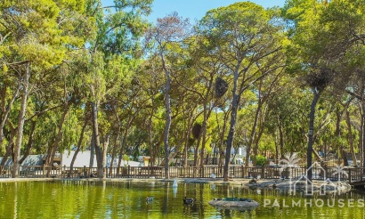 Herverkoop - Appartement - Guardamar del Segura - Guardamar del Segura Centro