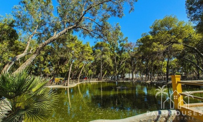 Herverkoop - Appartement - Guardamar del Segura - Guardamar del Segura Centro