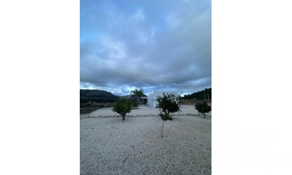 Venta - Villa - Pinoso - Pinoso Centro