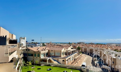 Herverkoop - Appartement - Orihuela - Inland