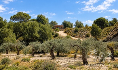 Herverkoop - Finca - Gea Y Truyols - Sierra de Columbares Natural Park