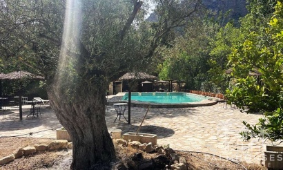Venta - Finca - Gea Y Truyols - Inland