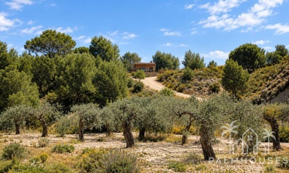 Venta - Finca - Gea Y Truyols - Inland