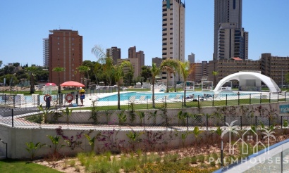 Revente - Apartment - Benidorm - Benidorm Centro