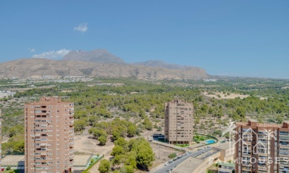 Revente - Apartment - Benidorm - Benidorm Centro