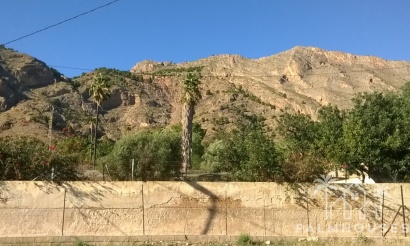 Venta - Country house - Orihuela - Orihuela Centro