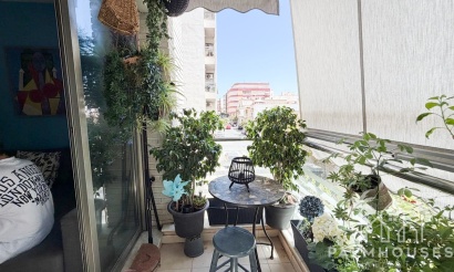 Resale - Apartments - Torrevieja - Torrevieja Centro