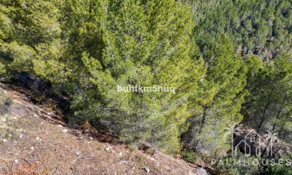 Revente - Plot - Callosa d'en Sarria - Callosa d'en Sarria Centro