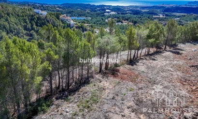Venta - Plot - Callosa d'en Sarria - Callosa d'en Sarria Centro