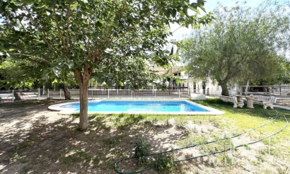 Herverkoop - Huis - Orihuela - Orihuela Centro