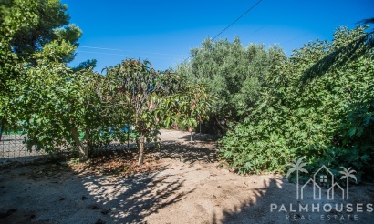 Revente - Villa - Orihuela - Inland
